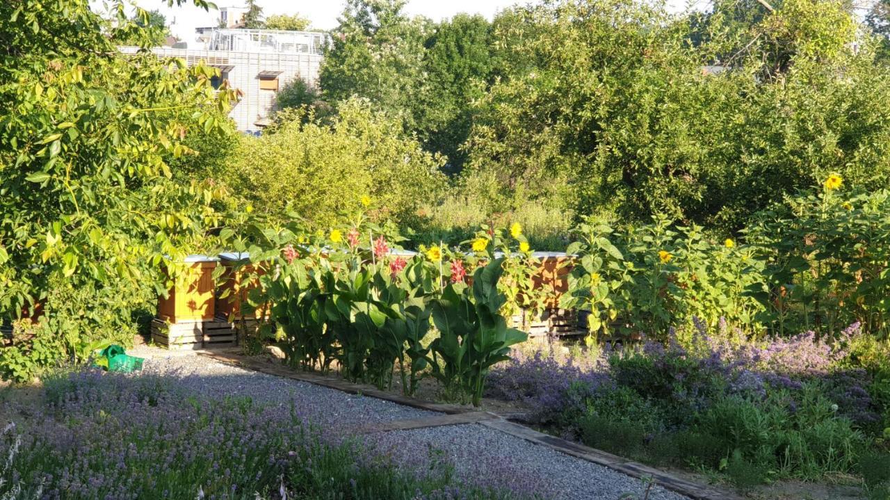 Agroturystyka U Joli Pacanow Экстерьер фото